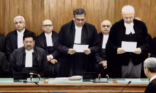 Public Company Fraud